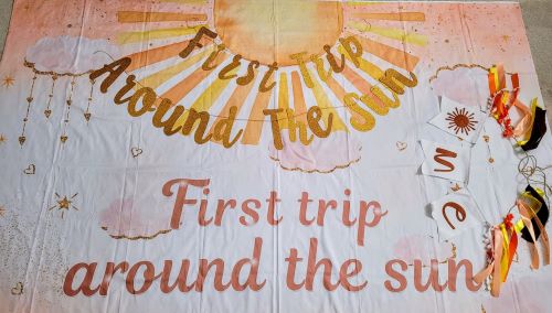 FirstTripAroundTheSun