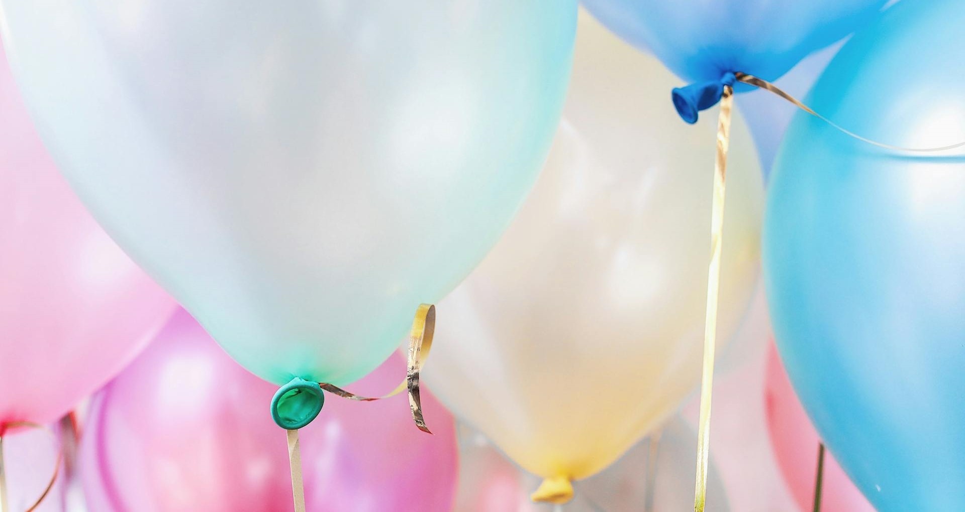 Why Balloons are Harmful