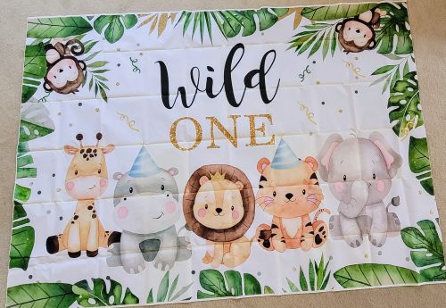 WildOneBirthdayDecorations