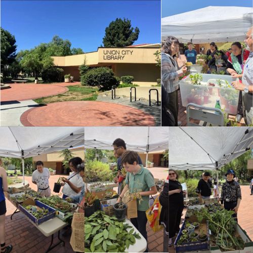 Acc - Union City Library Plant and Cutting Swap Event - 3rd May 2025