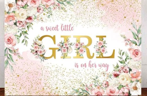 DB 48 - Girl Baby Shower Decorations